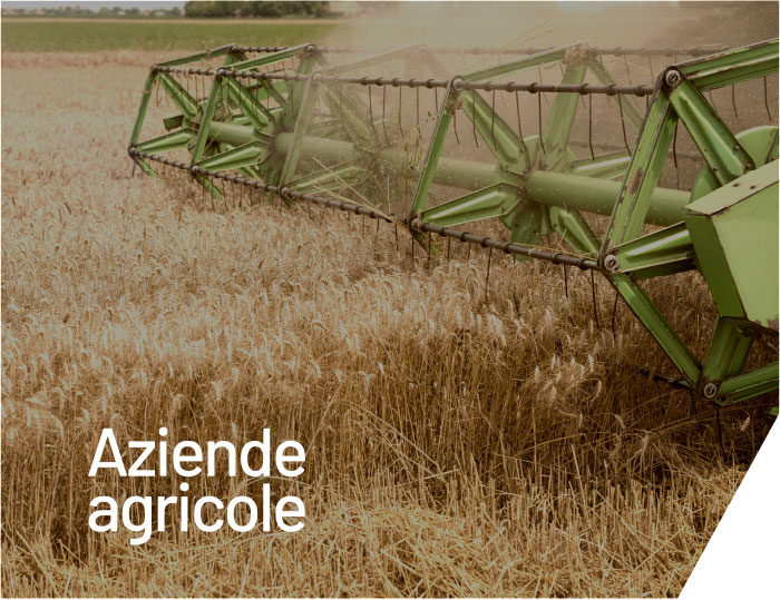 Aziende Agricole