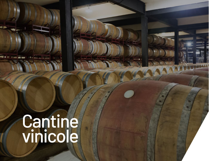cantine-vinicole-B