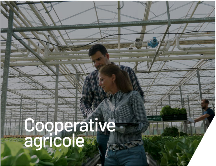 coop-agricole-B