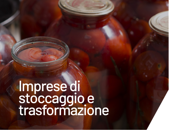 Imprese di stoccaggio e trasformazione